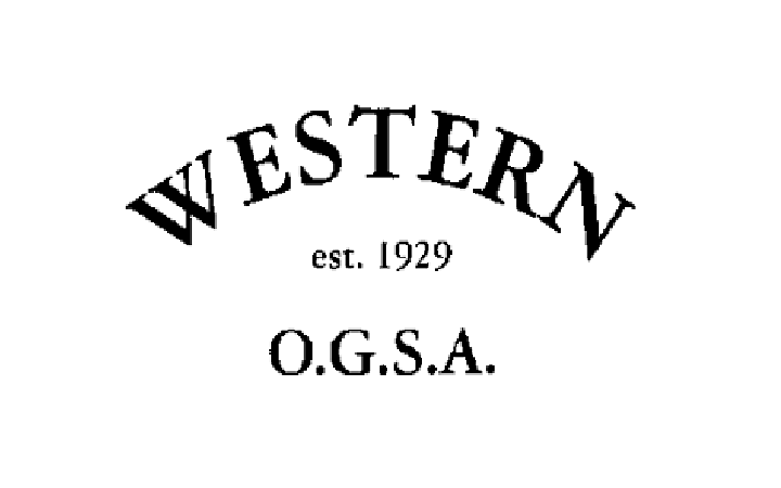 WOGSA_logo1.bmp
