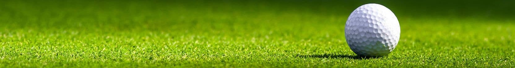 image of a golf ball on grass